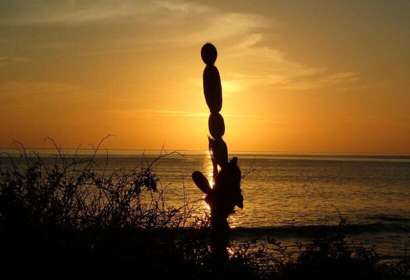 Herberge Black Beach House