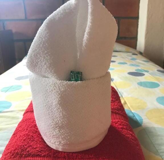 Herberge Black Beach House