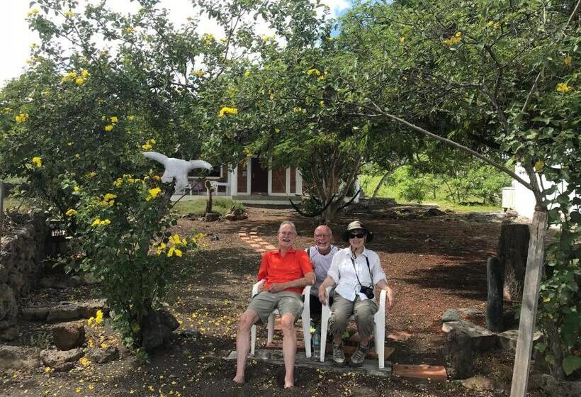 Herberge Black Beach House