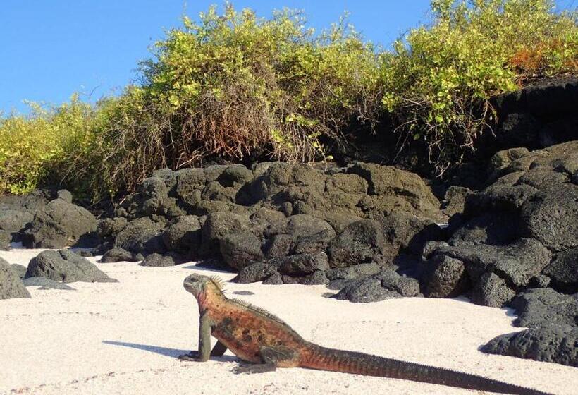 Herberge Black Beach House
