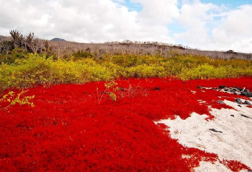 Herberge Black Beach House