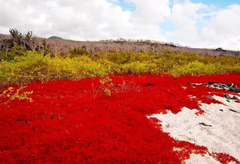 Retkeilymaja Black Beach House