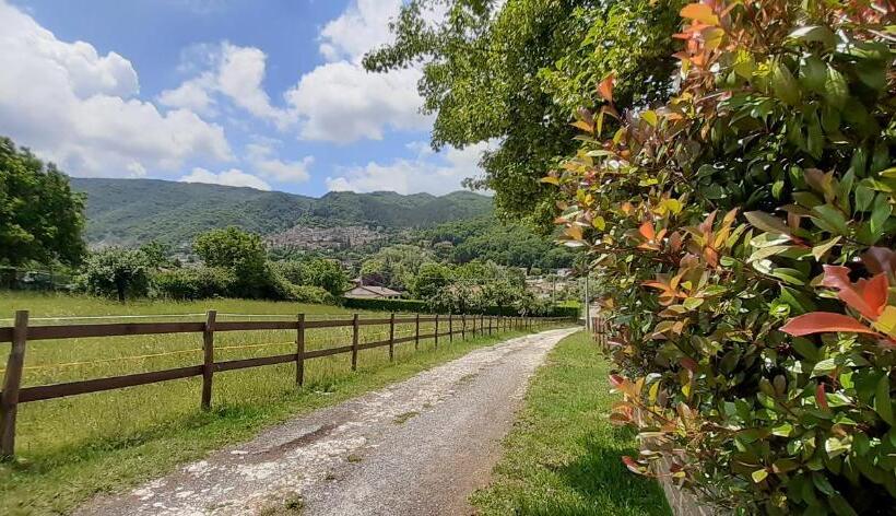 Bed and Breakfast Gli Eucalipti_la Genziana E Il Sambuco