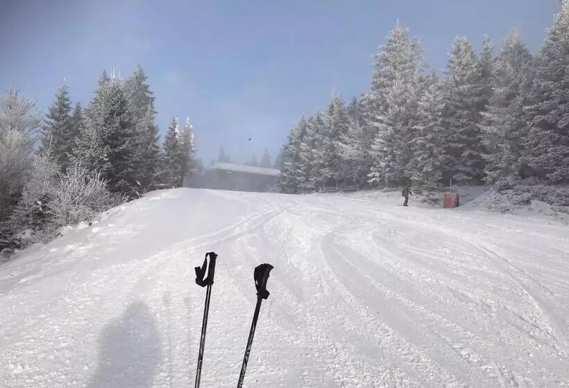 Aamiaismajoitus (B&B) Pension Slunečná