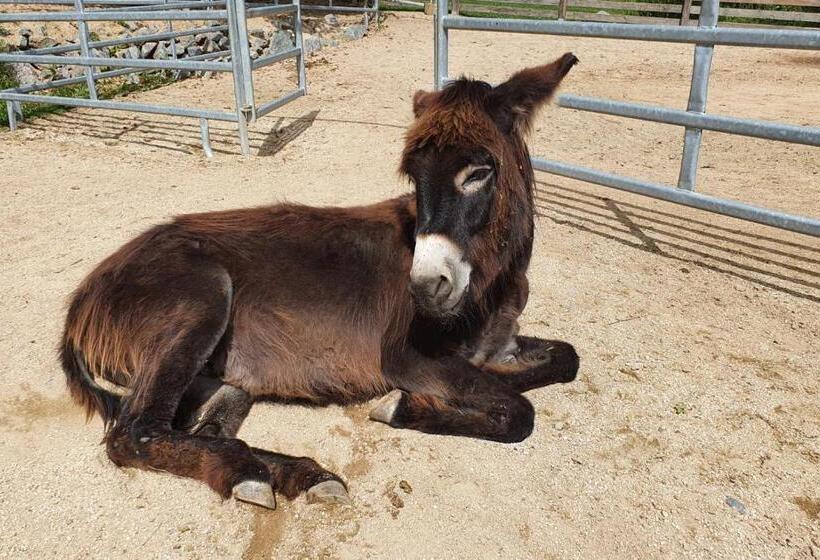 ホテル Orea Resort Panorama Moravský Kras