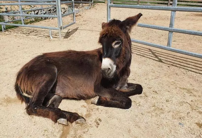 Hotelli Orea Resort Panorama Moravský Kras