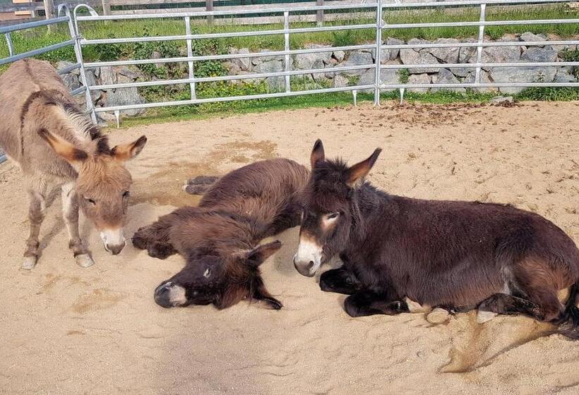 ホテル Orea Resort Panorama Moravský Kras