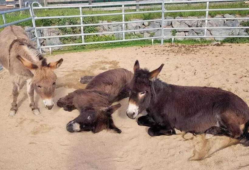 Hotelli Orea Resort Panorama Moravský Kras