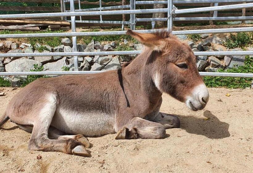 ホテル Orea Resort Panorama Moravský Kras