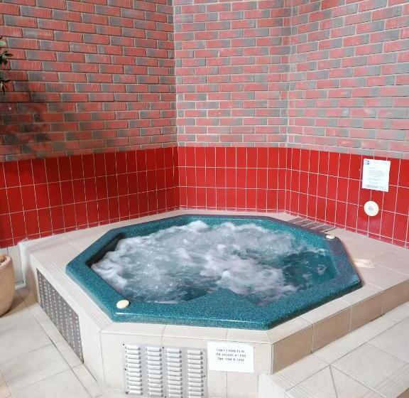 ホテル The Royal Lion