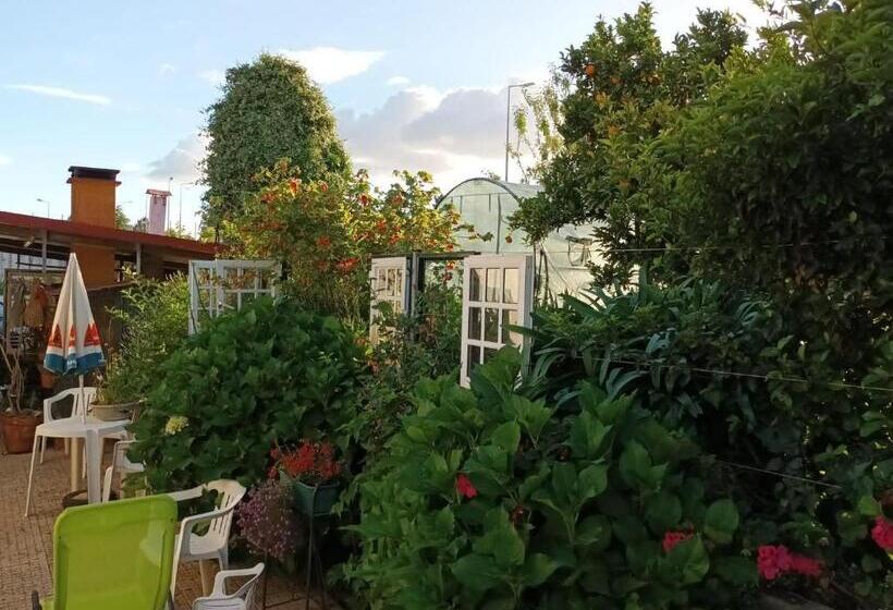 پانسیون Casita Da Floresta