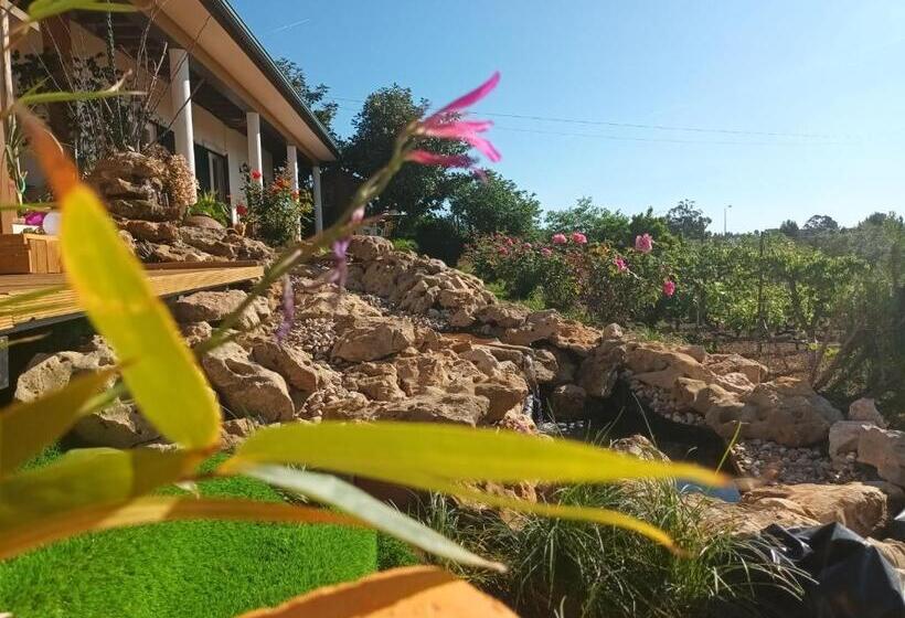 پانسیون Casita Da Floresta