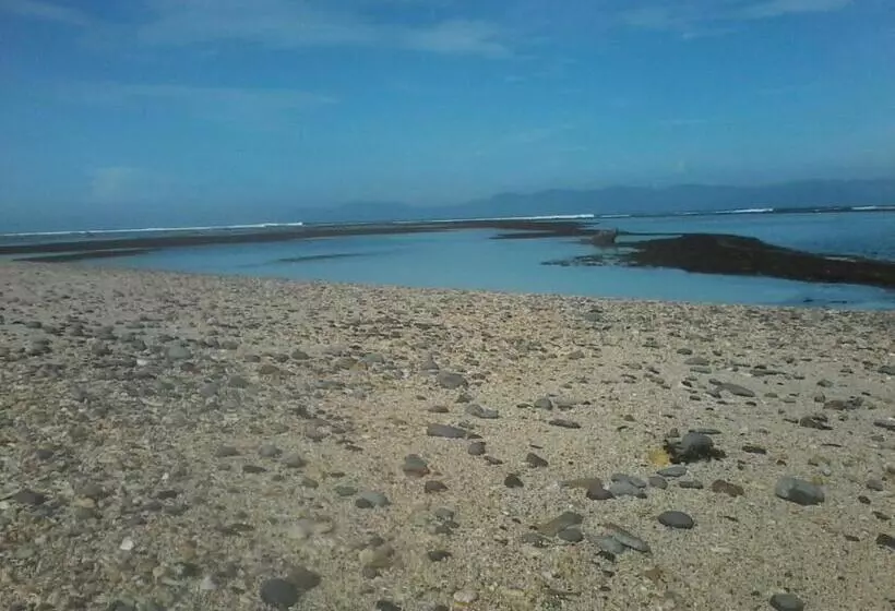 ペンション Rock Pool Homestay