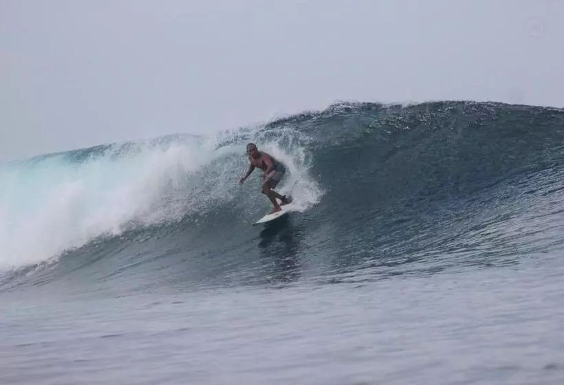 ペンション Rock Pool Homestay