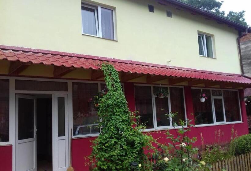 تختخواب و صبحانه Casa Doboş