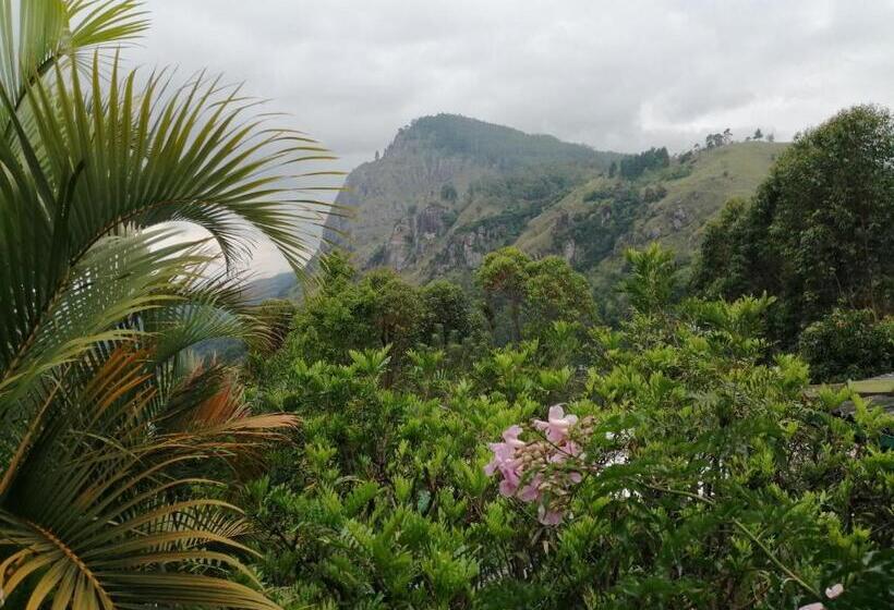 مبيت وإفطار Tea Garden Holiday Inn