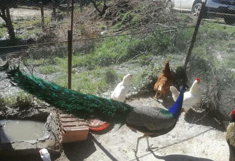 酒店 Agriturismo Ticci