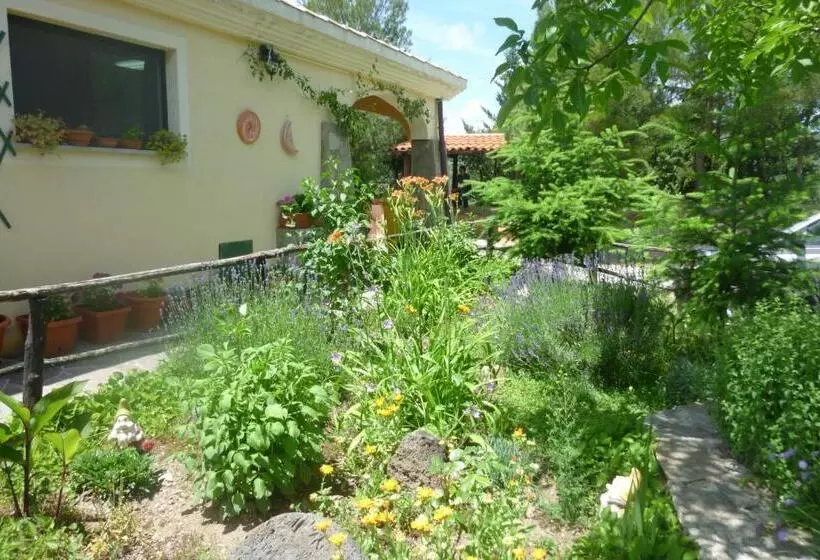 Hotelli Agriturismo Ticci