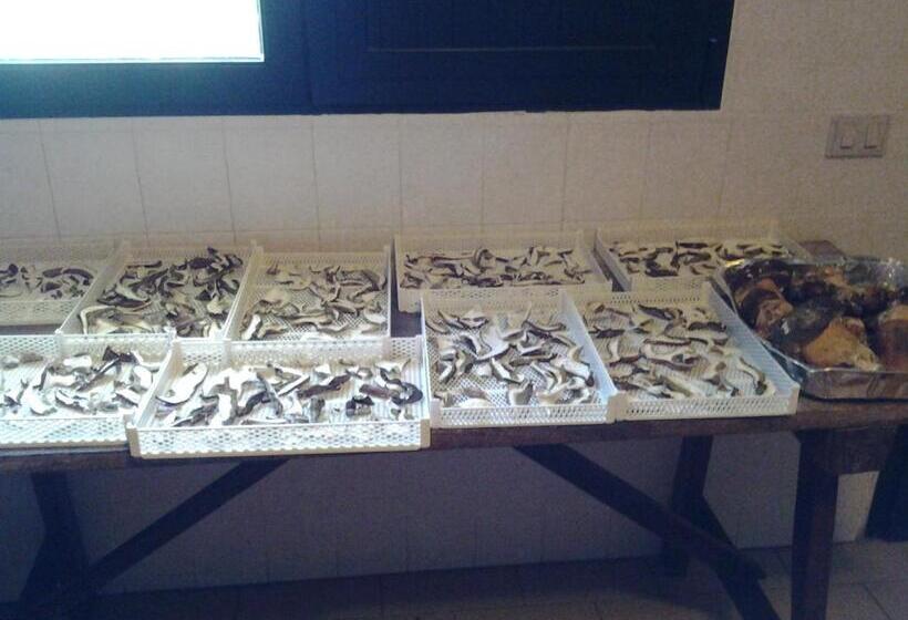 酒店 Agriturismo Ticci