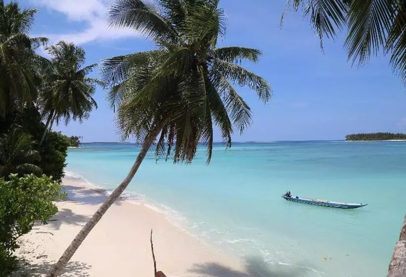 Retkeilymaja Nyang Ebay Surf Camp Siberut Mentawai Surfing Barrels