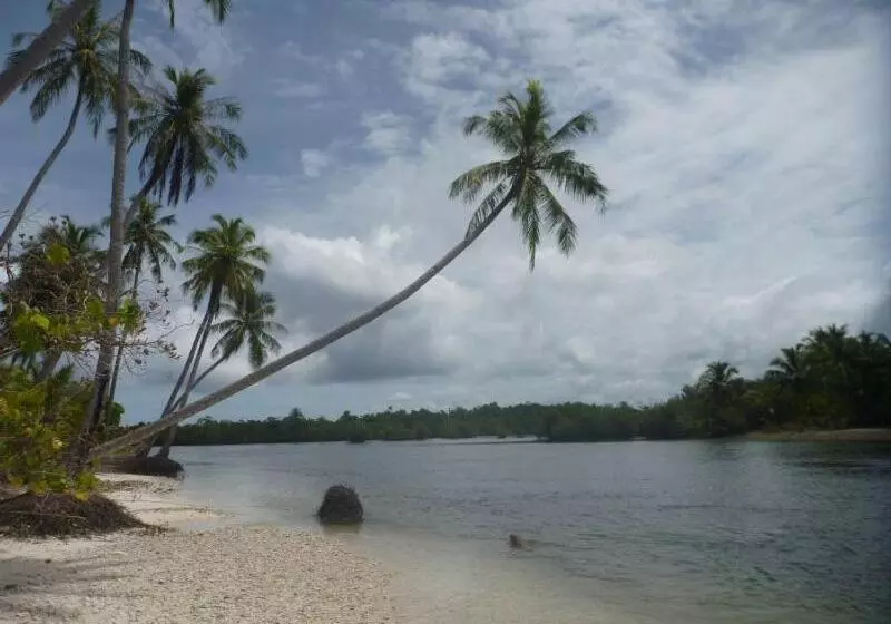 Retkeilymaja Nyang Ebay Surf Camp Siberut Mentawai Surfing Barrels