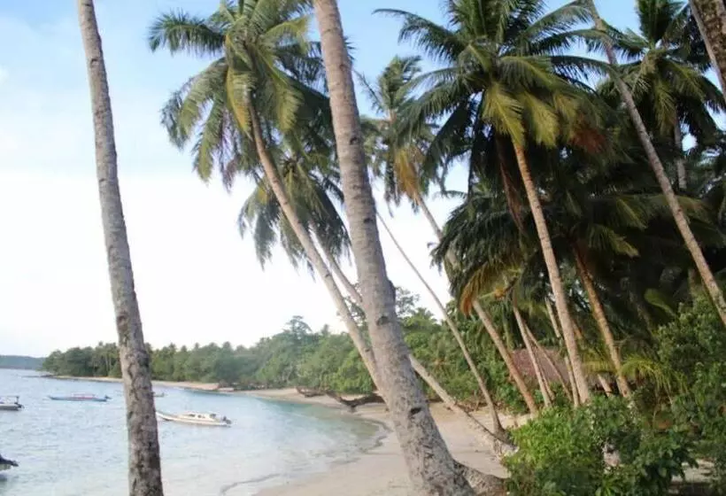 Retkeilymaja Nyang Ebay Surf Camp Siberut Mentawai Surfing Barrels