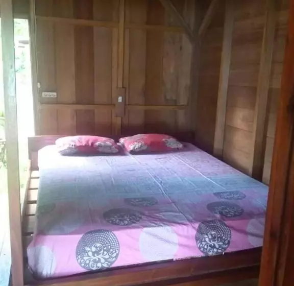 Retkeilymaja Nyang Ebay Surf Camp Siberut Mentawai Surfing Barrels