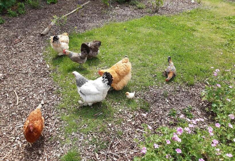 مبيت وإفطار Bij De Vlaamse Schuur