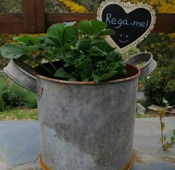 Aamiaismajoitus (B&B) Casa Do Alto   Benfeita