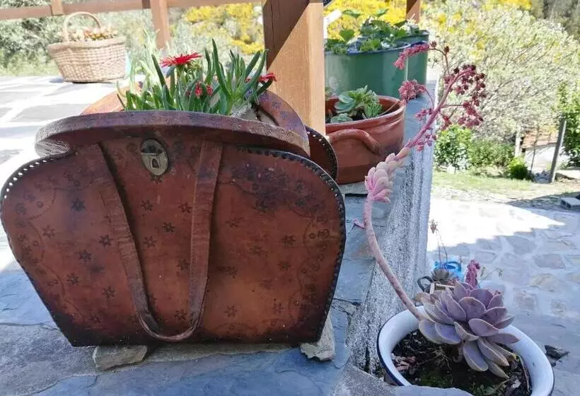 Aamiaismajoitus (B&B) Casa Do Alto   Benfeita