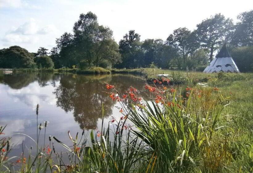 Bed and Breakfast Chambre D Hôte Atypique Trappeur West Little Ranch