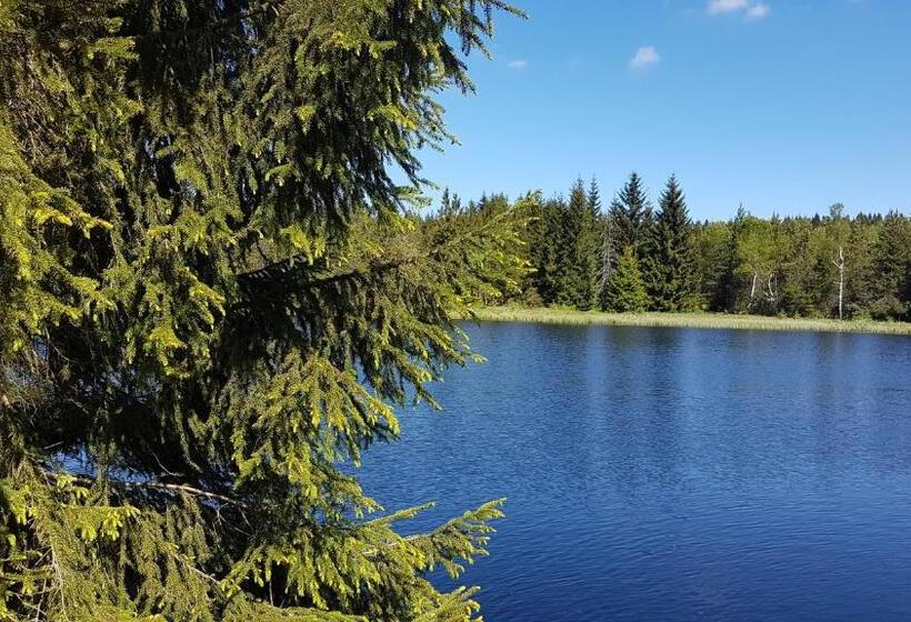 Bed and Breakfast Gasthaus Ruebenau