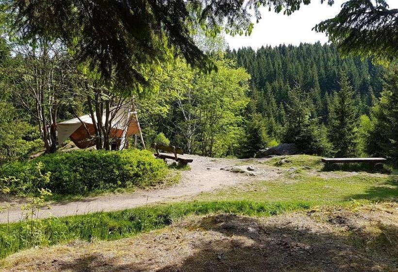 Bed and Breakfast Gasthaus Ruebenau