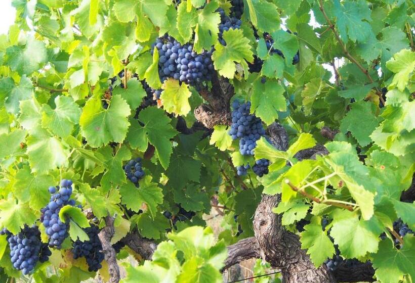 Bed & Breakfast At Tiffany's