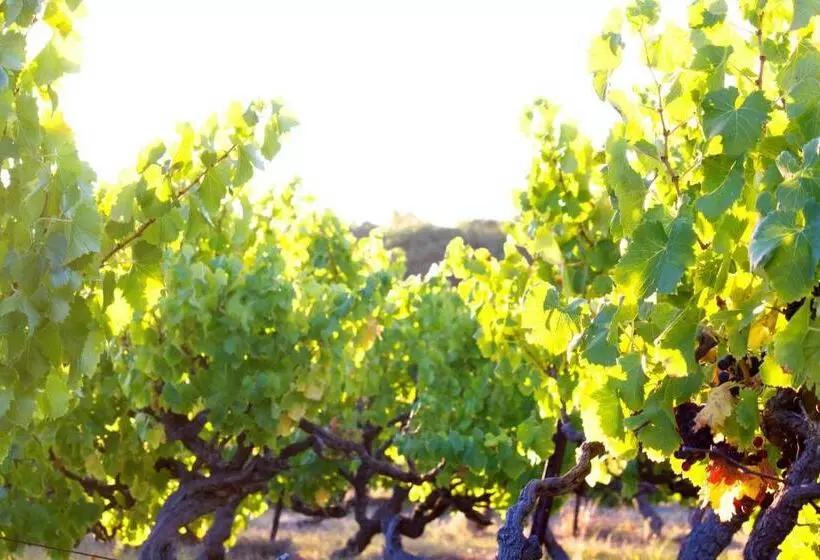 Bed & Breakfast At Tiffany's