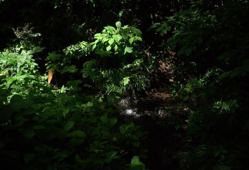 호텔 Björk （森の宿 ビヨルク）