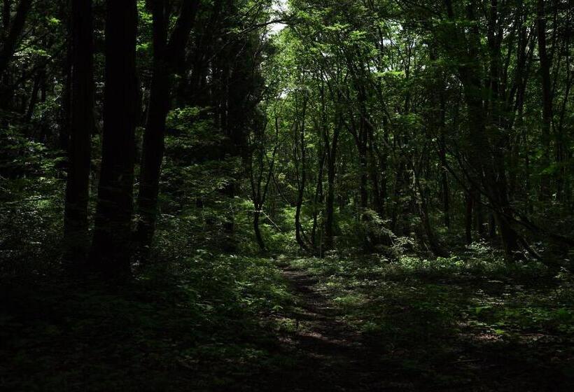 호텔 Björk （森の宿 ビヨルク）