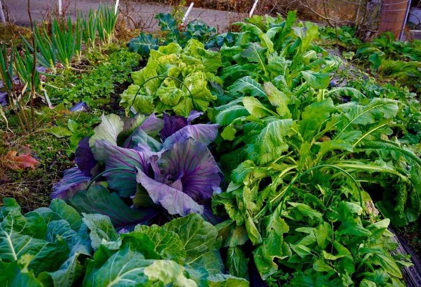 호텔 Björk （森の宿 ビヨルク）