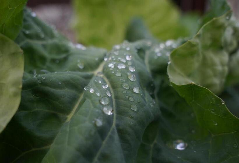 호텔 Björk （森の宿 ビヨルク）