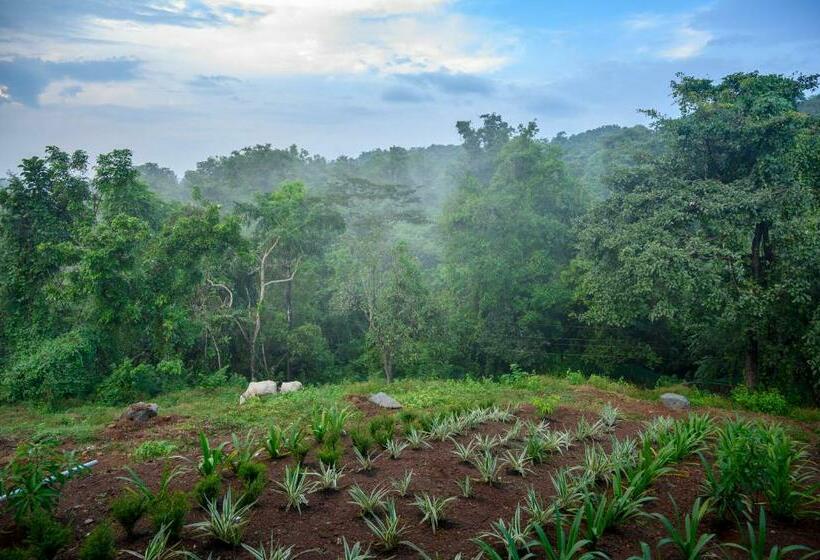 فندق Chandus Royal Palms