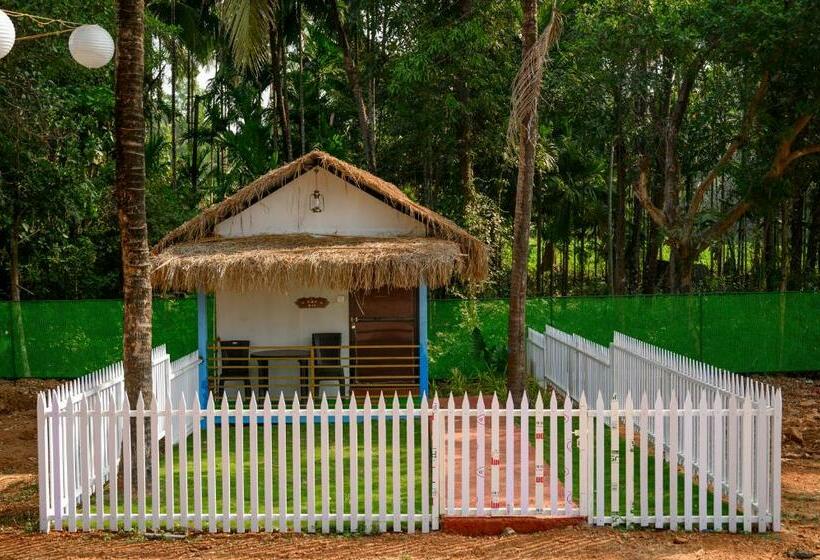 فندق Chandus Royal Palms