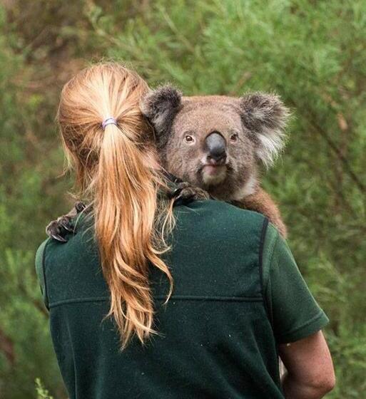 פנסיון Adelaide Hills Escape