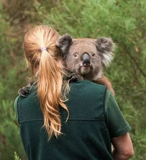 Majatalo Adelaide Hills Escape