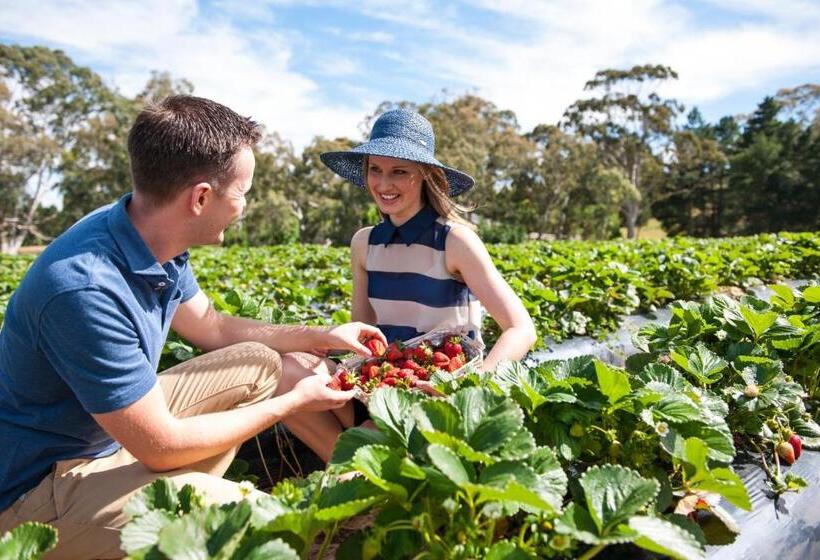 פנסיון Adelaide Hills Escape