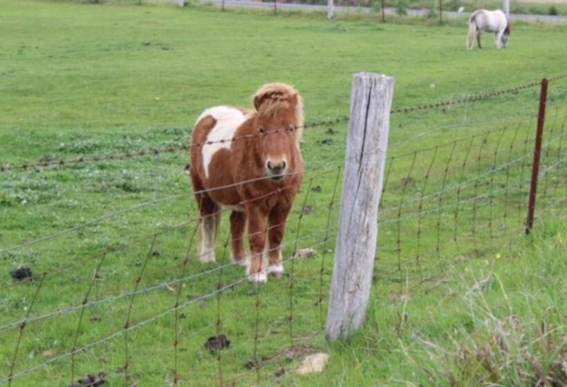 פנסיון Adelaide Hills Escape