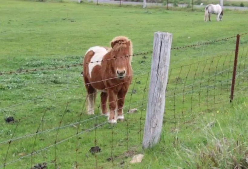 Majatalo Adelaide Hills Escape