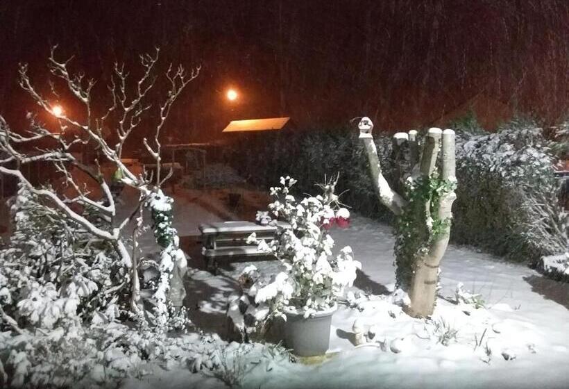 ペンション Les Bigorneaux