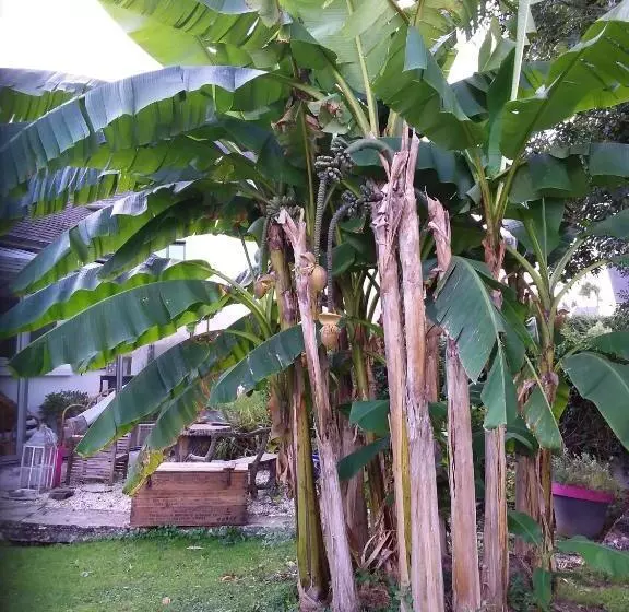 Majatalo Les Bigorneaux