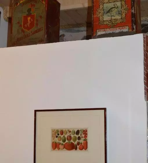 Majatalo Mesao Provesende