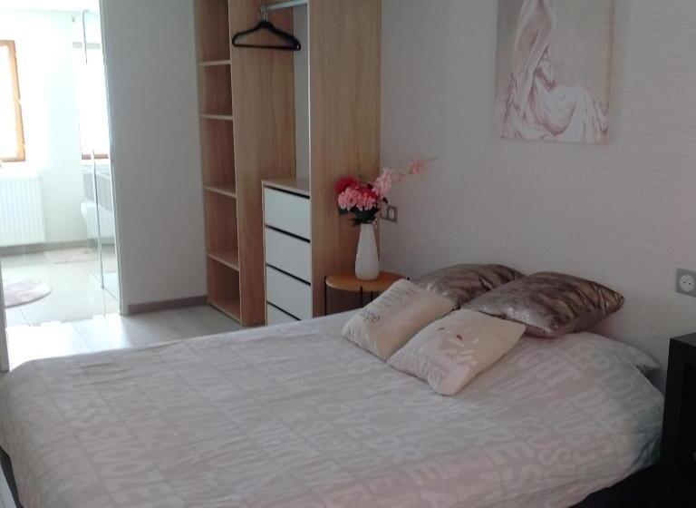 膳宿费 Passage Des Romains Studio